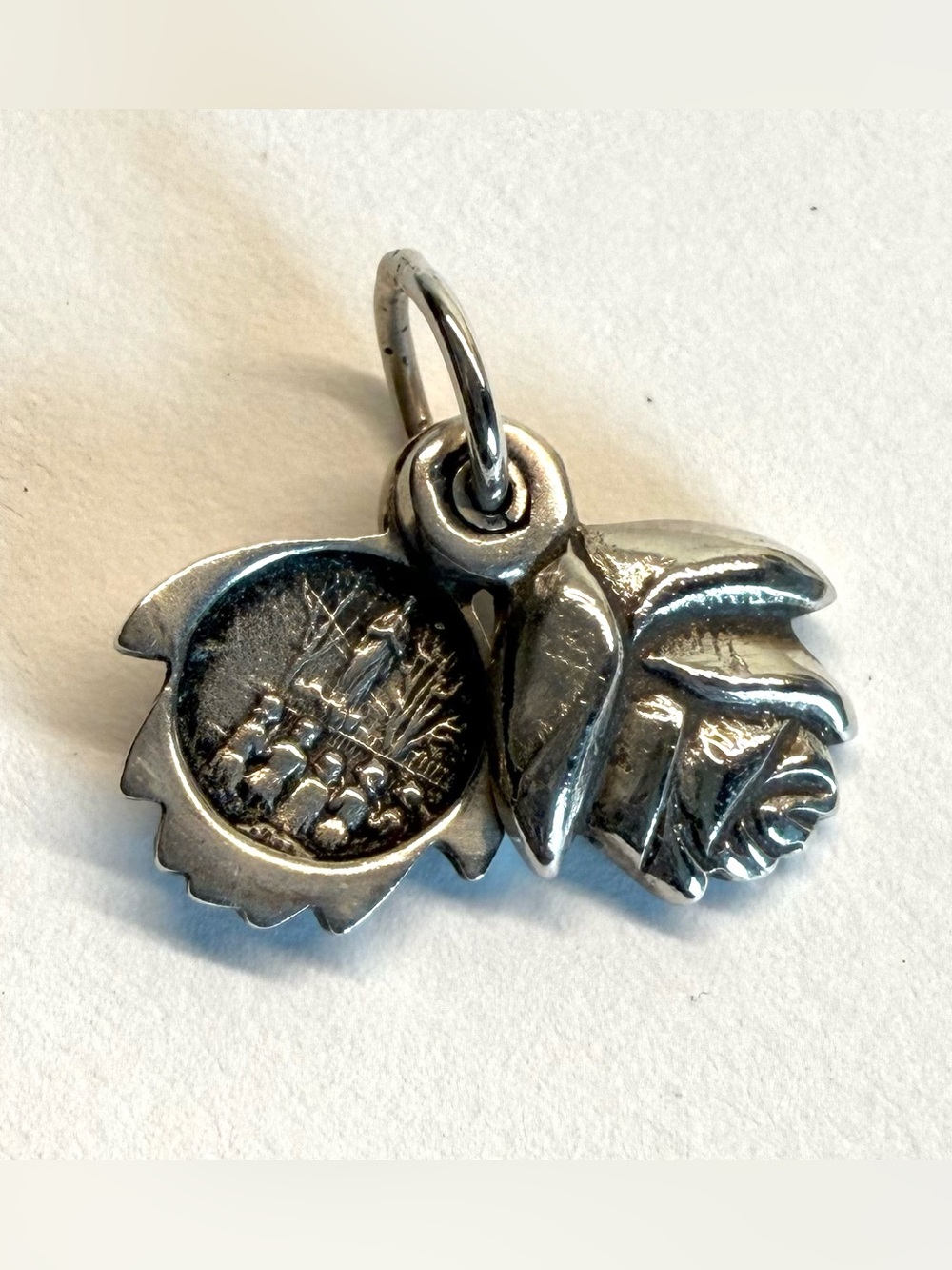 Heidi J Hale Sterling Silver Rose Slide Locket w/ Holy Mother Mary Charm 925